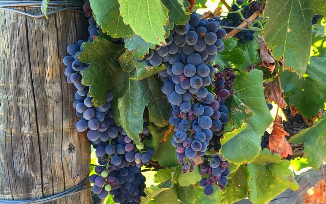South Coast Winery and Spa Temecula Riverside County California United  States Stock Photo - Alamy